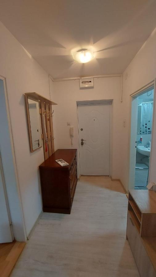 Apartman Milica Vrsac Eksteriør bilde