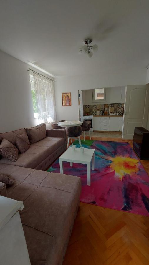 Apartman Milica Vrsac Eksteriør bilde
