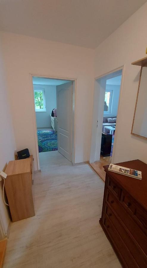 Apartman Milica Vrsac Eksteriør bilde